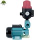 Pompa WZ250 z BRIO Sk-13 230V OMNIGENA