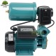 Zestaw WZ250 230V Hydrofor 2L OMNIGENA