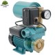 Zestaw WZ250 230V Hydrofor 2L OMNIGENA