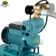 Zestaw WZ250 230V Hydrofor 24L OMNIGENA