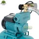 Zestaw WZ750 230V Hydrofor 24L OMNIGENA