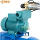 Zestaw WZ750 230V Hydrofor 80L IBO