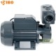 Pompa WZ250 230V IBO