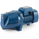 Pompa JSW 2 Malec