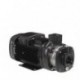 Pompa CM 10-5 A-R-A-E-AQQE Grundfos