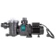 Pompa basenowa SWIMMEY 15 T PENTAIR STA-RITE